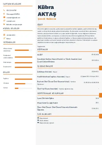 Çocuk Bakıcısı CV Örnekleri cv indir